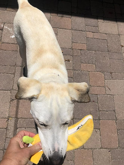 Glow Pups Banana Dog Toy with Squeaker, Cute Plush Chew Toy for Puppy, Helps with Anxiety and Boredom, Durable and Easy to Clean, 9" x 2.5", Whimsical Plush Style, Yellow