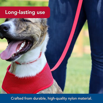 Coastal Pet Single-Ply Dog Leash - Sturdy Pet Leash - Comfortable & Stylish - Resists Fraying - Vibrant & Fade-Resistant Color - Neon Pink, 3/4" x 6'