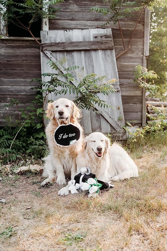 ZippyPaws Wedding Toy - Dog Squeaky Toy to Keep Them Busy, Cute Plush for Small, Medium, & Large Dogs, Stuffed Puppy Toy, Pet Products, Gift for All Breeds, 2 Round Squeakers - "I Do Too" Wedding Sign