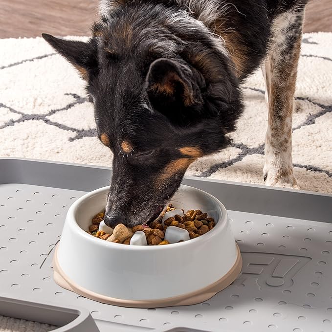 IRIS USA 4-Cup Slow Feeder Bowl, Anti-Choking & Anti-Slip Puzzle Dish for Healthy Digestion, Long Snout Dogs & Cats, BPA & PVC-Free, White/Beige