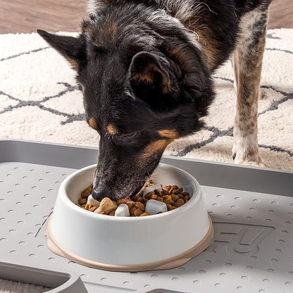 IRIS USA 4-Cup Slow Feeder Bowl, Anti-Choking & Anti-Slip Puzzle Dish for Healthy Digestion, Long Snout Dogs & Cats, BPA & PVC-Free, White/Beige