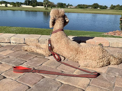 Black Rhino Heavy Duty Dog Leash for Medium and Large Dogs - 5 ft Long Double Handle Dog Leash with Padded Traffic Control Handles - Reflective, Durable, and Weather Resistant (Red and Black)
