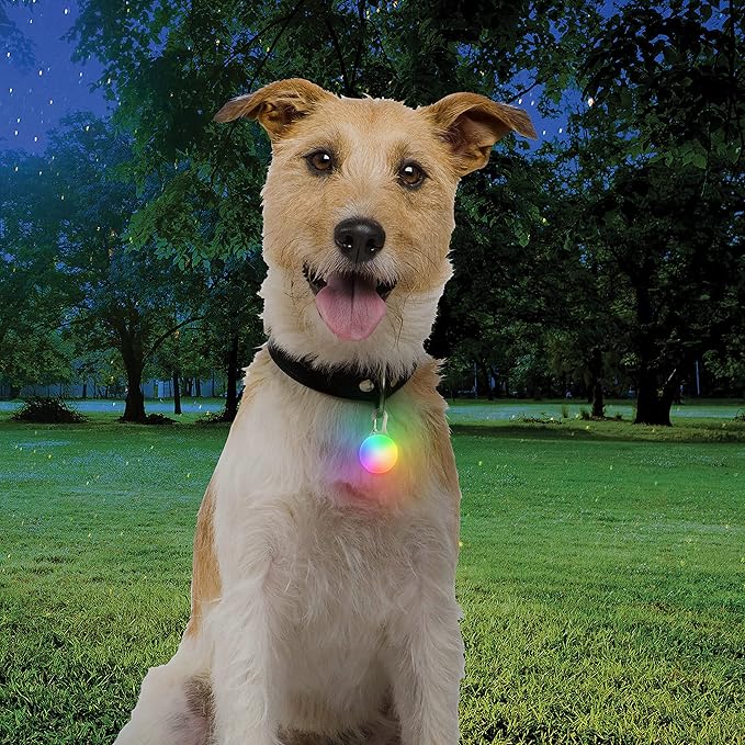 Nite Ize SpotLit Rechargeable Collar Light - Disc-O Tech - Clip-On Pet Accessory for Nighttime Visibility - Color-Changing LED - Stainless Steel Carabiner Clip - Weather-Resistant