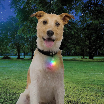 Nite Ize SpotLit Rechargeable Collar Light - Disc-O Tech - Clip-On Pet Accessory for Nighttime Visibility - Color-Changing LED - Stainless Steel Carabiner Clip - Weather-Resistant