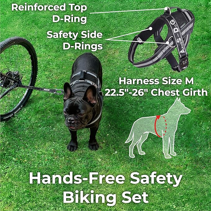 BIKE AND DOG - Dog Leash and Harness for Bicycle, Harness with 3 Rings, 2 are Sides, Includes 2 Special Cable Ties for Bicycle. Patented. (Black, Leash & Harness M)