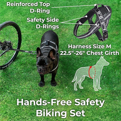 BIKE AND DOG - Dog Leash and Harness for Bicycle, Harness with 3 Rings, 2 are Sides, Includes 2 Special Cable Ties for Bicycle. Patented. (Black, Leash & Harness M)