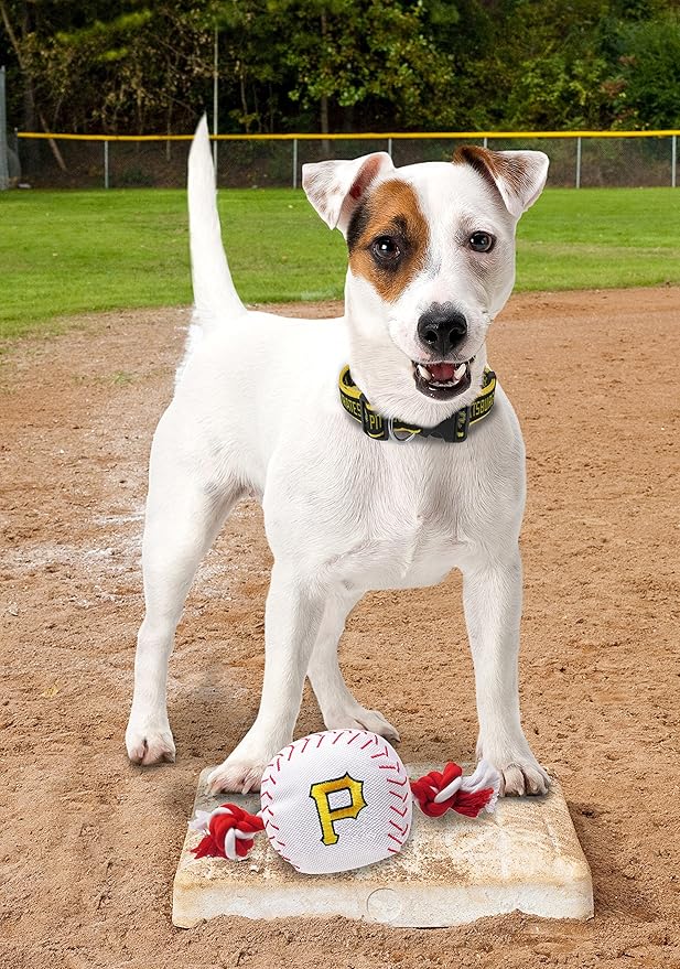MLB PITTSBURGH PIRATES Baseball Rope Toy for DOGS & CATS. Tough nylon, Sporty Baseball Design, Heavy-duty ropes with Inner SQUEAKER