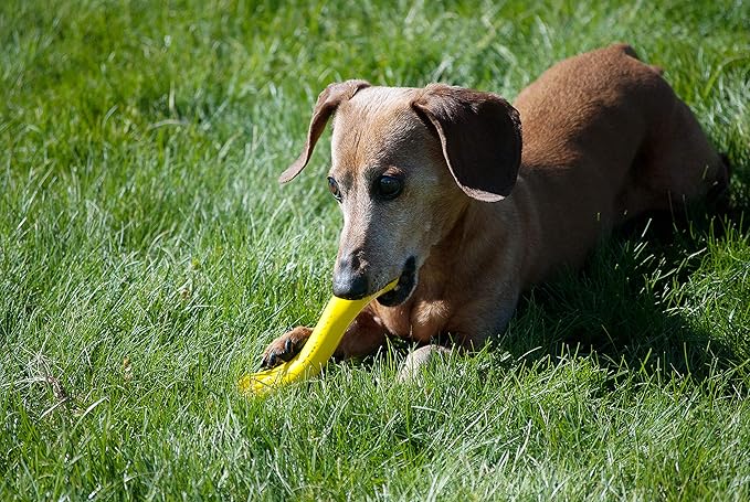 Jolly Pets Jolly Bone, Small/Yellow