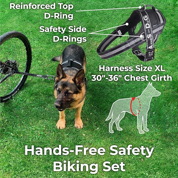 BIKE AND DOG - Dog Leash and Harness for Bicycle, Harness with 3 Rings, 2 are Sides, Includes 2 Special Cable Ties for Bicycle. Patented. (Black, Leash & Harness XL)