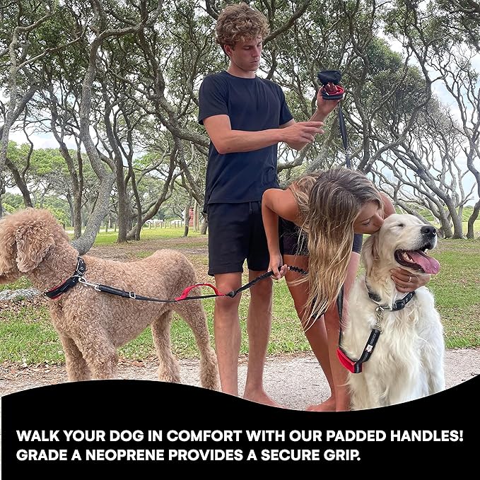 Black Rhino 6 ft Long Heavy Duty Dog Leash with Traffic Handle for Medium and Large Dogs - Padded Neoprene Dual Handles, Bag and Clip - Reflective, Durable, and Weather Resistant - Green