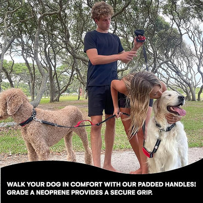Black Rhino 6 ft Long Heavy Duty Dog Leash with Traffic Handle for Medium and Large Dogs - Padded Neoprene Dual Handles, Bag and Clip - Reflective, Durable, and Weather Resistant - Green