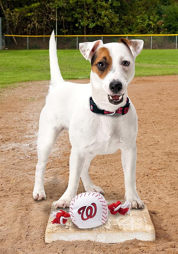 MLB WASHINGTON NATIONALS Baseball Rope Toy for DOGS & CATS. Tough nylon, Sporty Baseball Design, Heavy-duty ropes with Inner SQUEAKER