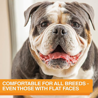 The Niner Slow Feed Bowl - Raised Peaks Slow Down Pets Eating - Fits Elevated Feeders Including Neater Feeder Large Sizes - Gentle on Teeth and Gums - Holds up to 2 Cups (Aquamarine)