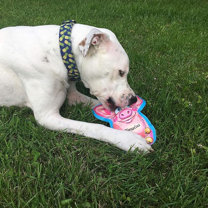 Pig Dog Toy | Funny Pignatius Dog Toy | Durable Squeaky | Rugged Chew Pig Toy | Small | 5"