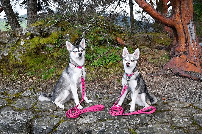 EcoBark Dog Leash - Soft & Reflective Comfort Training Leashes with Padded Handle - Safe, Strong, & Durable for Small, Medium or Large Dogs (Pink)