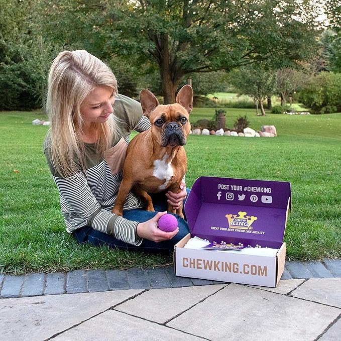 Chew King by Mammoth Dog Box Medium- Durable Fetch Balls, Treater and Chewing Toy Collection, Teal (CM-10099-CS01)