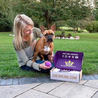 Chew King by Mammoth Dog Box Medium- Durable Fetch Balls, Treater and Chewing Toy Collection, Teal (CM-10099-CS01)