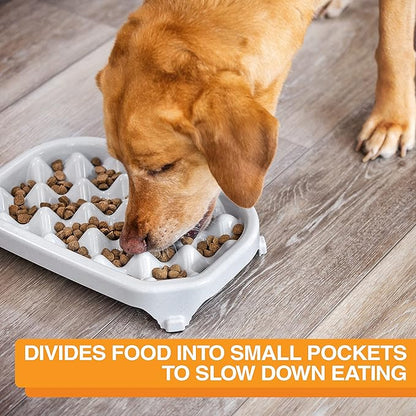 Neater Pet Brands Neater Slow Feeder Dog Bowls, Slows Down Fast Eaters to Help Digestion & Prevent Overeating, Non-Slip Dog Bowl, BPA-Free, Holds 6 Cups of Food for Medium to Large Breed Dogs or Puppy