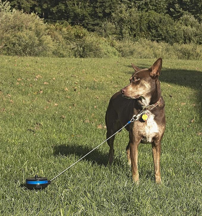 Lixit Bracket Mount and Stake Retractable Leash Tie Outs for Dogs (Stake, Medium)
