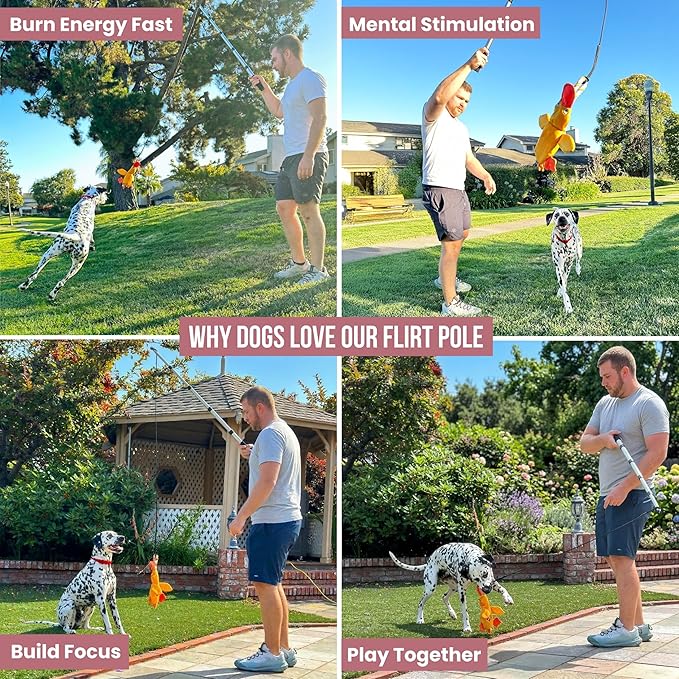 Flirt Pole for Dogs Heavy Duty - Multi-Sensory Tough Chase Toy for Medium & Large Breeds – Extra Strong 35" Dog Teaser Wand for Backyard Play, Training and Interactive Fun (Duck)