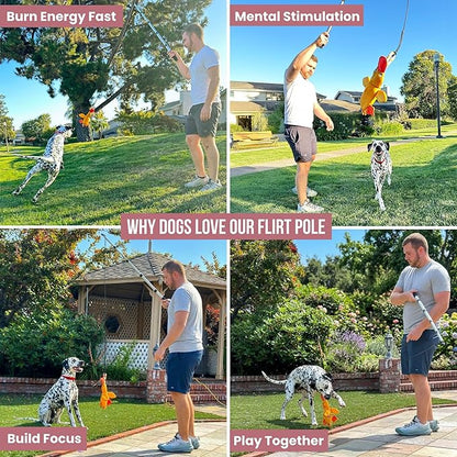 Flirt Pole for Dogs Heavy Duty - Multi-Sensory Tough Chase Toy for Medium & Large Breeds – Extra Strong 35" Dog Teaser Wand for Backyard Play, Training and Interactive Fun (Duck)
