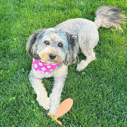 SPOT Bam-Bones Fish - Made with Strong Bamboo Fiber, Durable Long Lasting Dog Bone for Light to Moderate Chewers, Great Chew Toy for Adult Dogs & Teething Puppies Under 30lbs, 5.5in, Salmon Flavor