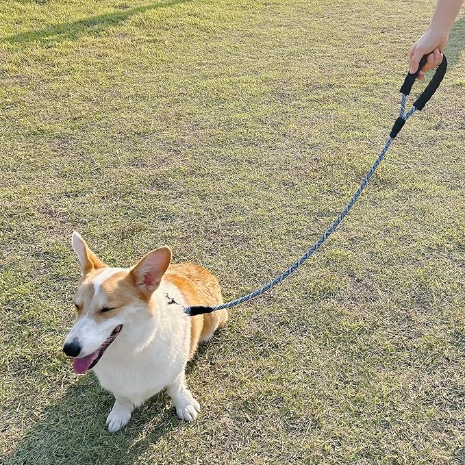 MayPaw 3FT Heavy Duty Rope Dog Leash, 6/8/10/12/15/20/30 FT Long Dog Lead Nylon Pet Leash, Soft Padded Handle Thick Lead Training Leashes for Large Medium Dogs (3ft * 1/2", Blue Black)