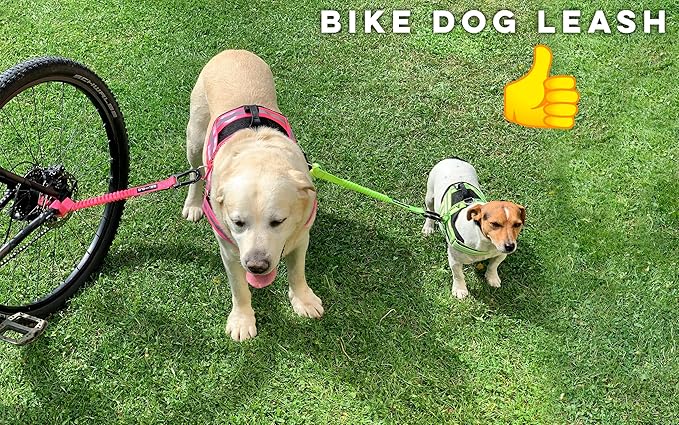BIKE AND DOG - Dog Leash and Harness for Bicycle, Harness with 3 Rings, 2 are Sides, Includes 2 Special Cable Ties for Bicycle. Patented. (Fluorescent Pink, Leash)