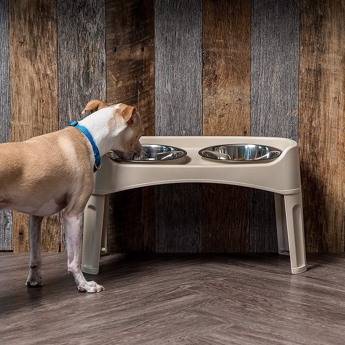 IRIS USA Adjustable Elevated Dog Bowls, Raised Feeder with 2 Stainless Steel 64 oz Bowls, Spill-Guard Rim, 12.25" or 4.63" Heights, Durable Plastic, Made in USA, Almond