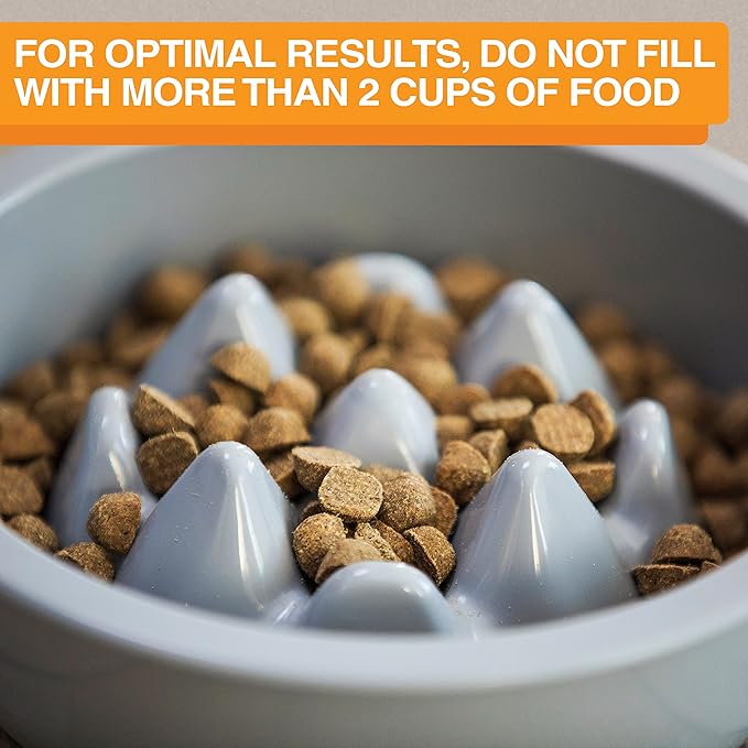 The Niner Slow Feed Bowl - Raised Peaks Slow Down Pets Eating - Fits Elevated Feeders Including Neater Feeder Large Sizes - Gentle on Teeth and Gums - Holds up to 2 Cups (Silver)