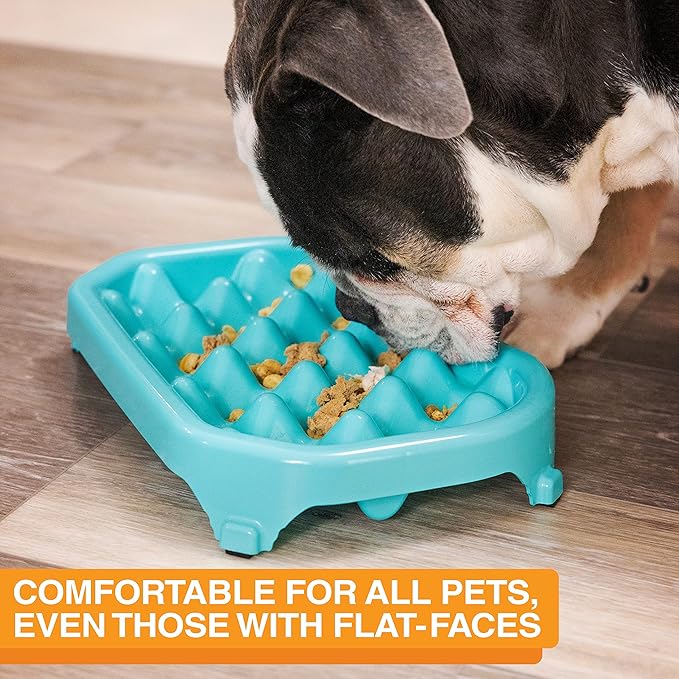Neater Pet Brands Neater Slow Feeder Dog Bowls, Slows Down Fast Eaters to Help Digestion & Prevent Overeating, Non-Slip Food Bowl, BPA-Free, Holds 2.5 Cup of Food for Small to Medium Breed or Puppy