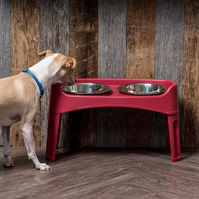 IRIS USA Adjustable Elevated Dog Bowls, Raised Feeder with 2 Stainless Steel 64 oz Bowls, Spill-Guard Rim, 12.25" or 4.63" Heights, Durable Plastic, Made in USA, Red
