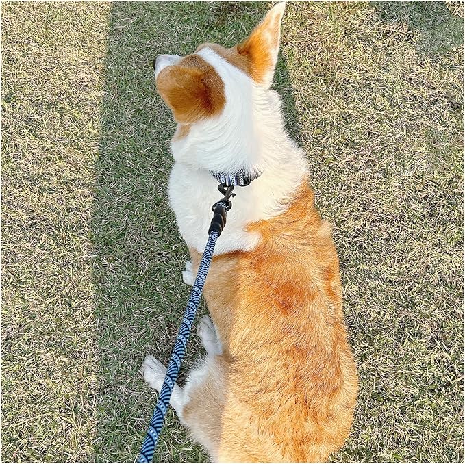 MayPaw 3FT Heavy Duty Rope Dog Leash, 6/8/10/12/15/20/30 FT Long Dog Lead Nylon Pet Leash, Soft Padded Handle Thick Lead Training Leashes for Large Medium Dogs (3ft * 1/2", Blue Black)
