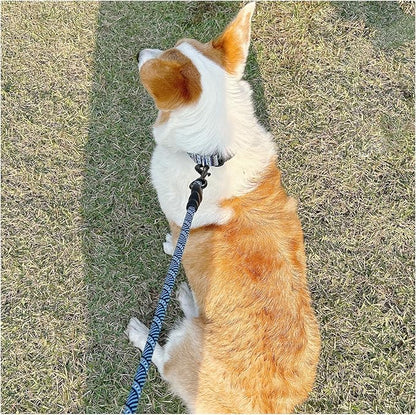 MayPaw 3FT Heavy Duty Rope Dog Leash, 6/8/10/12/15/20/30 FT Long Dog Lead Nylon Pet Leash, Soft Padded Handle Thick Lead Training Leashes for Large Medium Dogs (3ft * 1/2", Blue Black)