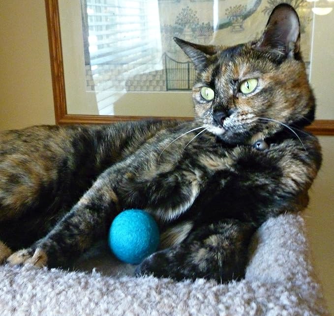 Wool Cat Balls - Safe Silent Felt Ball Toys - Fun Colorful Soft Quiet Wool Kitty Toys - Unique for Cat Lovers - Hand Made in Nepal