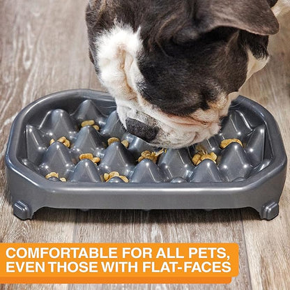 Neater Pet Brands Neater Slow Feeder Dog Bowls, Slows Down Fast Eaters to Help Digestion & Prevent Overeating, Non-Slip Dog Bowl, BPA-Free, Holds 6 Cups of Food for Medium to Large Breed Dogs or Puppy