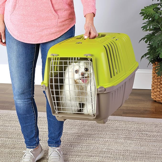 MidWest Homes for Pets Spree Travel Carrier – Hard-Sided Dog & Cat Carrier, Small Pet Travel Crate with Handle, Ventilated Design, Easy Assembly, 24-Inch, Green