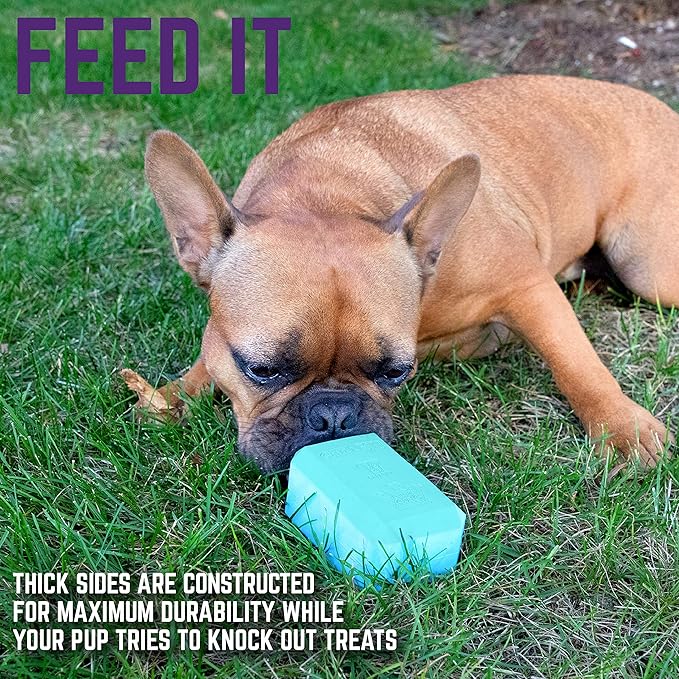 Chew King Premium Treat Dog Toy, Medium, Extremely Durable Natural Rubber Fillable Toy Collection, Frozen Feeding