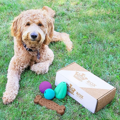 Chew King by Mammoth Dog Box Large- Durable Fetch Balls, Treater and Chewing Toy Collection, Teal (CM-10100-CS01)