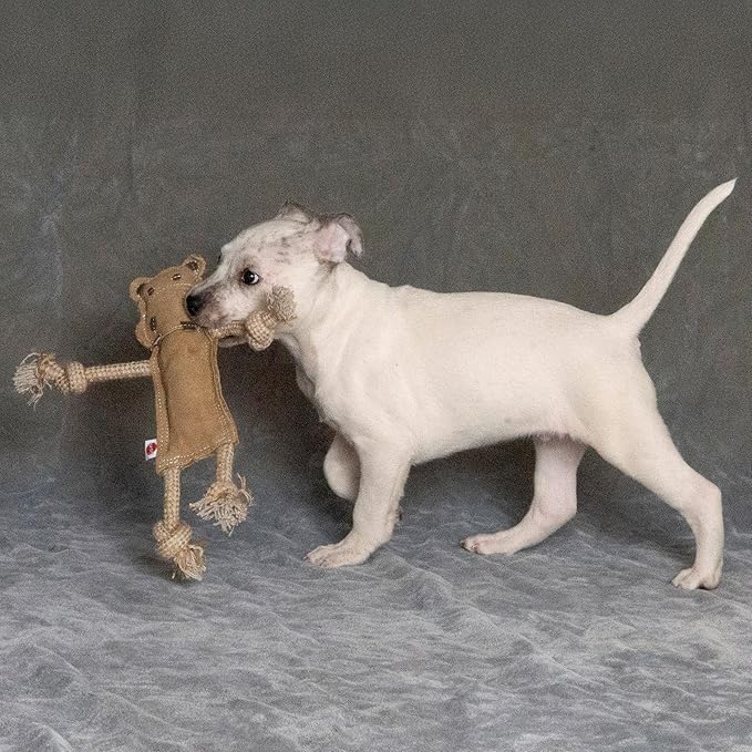SPOT Dura-Fused Leather Jungle Animals - Dog Toy with Squeakers and Rope Limbs, Real Leather and Jute Chew Toy, Durable No-Stuffing Toy for Light to Moderate Chewers - 14in, Assorted Styles, 1 Piece