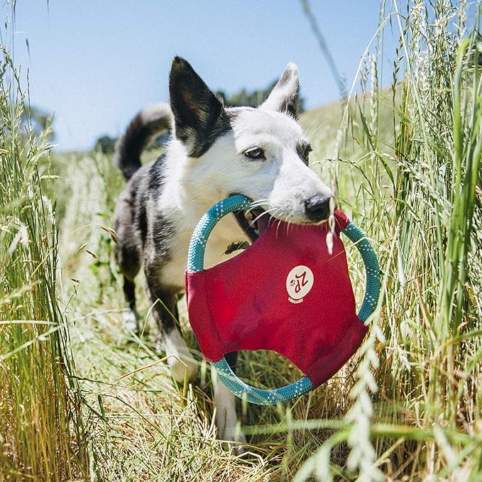 ZippyPaws Rope Gliderz - Durable Outdoor Dog Frisbee Toy, Soft Pet Flying Disc for Beach & Pool, Interactive Frisbee for Fetching, Made of Tough Mountain Climbing Rope - Magenta