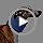 Dog Neck Brace for Pet After Surgery Recovery Adjustable Breathable Neck Cervical Cone，Dog Cone Collar Recovery Head Cone for Small Medium Dogs Puppies Kittens with Spinal IVDD Lssues - Image 7