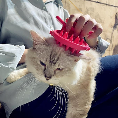 Cat Brush Shedding Grooming, Soft Massage Kitty Tongue Brush, Licking Your Kitty Like a Mama Cat to Comfort, Surprise Pet Gifts