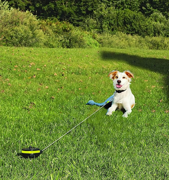 Lixit® Bracket Mount and Stake Retractable Leash Tie Outs for Dogs (Small (Pack of 1), Stake)