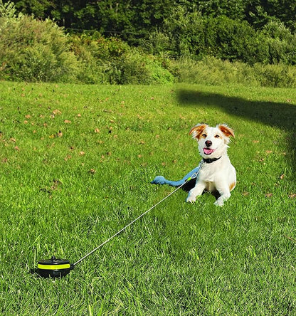 Lixit® Bracket Mount and Stake Retractable Leash Tie Outs for Dogs (Small (Pack of 1), Stake)