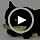 Wine Bottle Catnip Toys for Cats and Kittens Plush Wine Bottle - Funny Cat Toy Moscato and CATbernet - Cat Nip Toy for Wine Drinking Cat Moms and Dads - Image 7