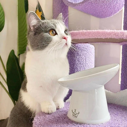 Necoichi Raised Cat Food Bowl