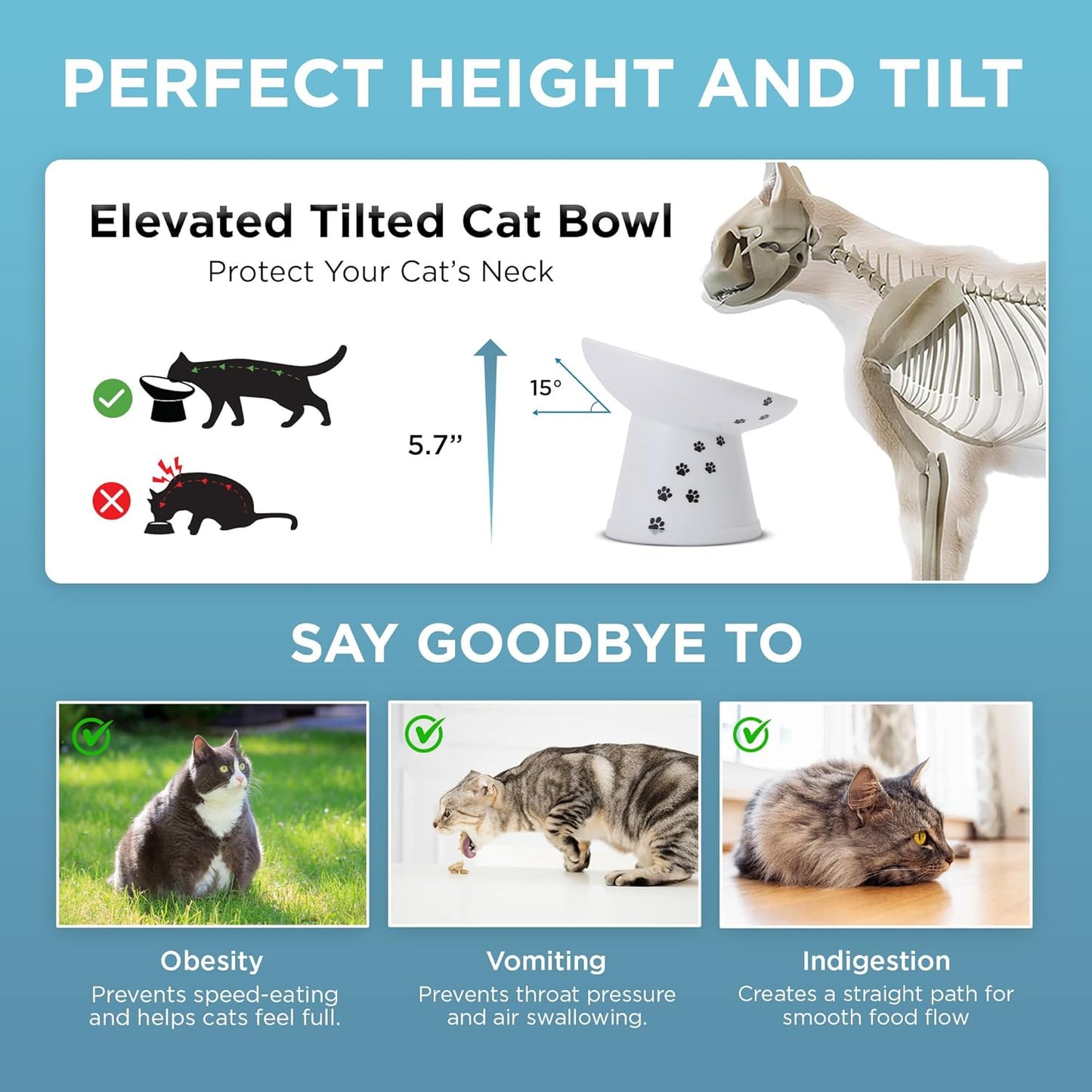 Necoichi Raised Cat Food Bowl