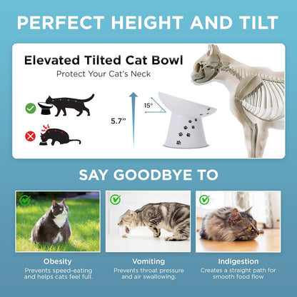Necoichi Raised Cat Food Bowl