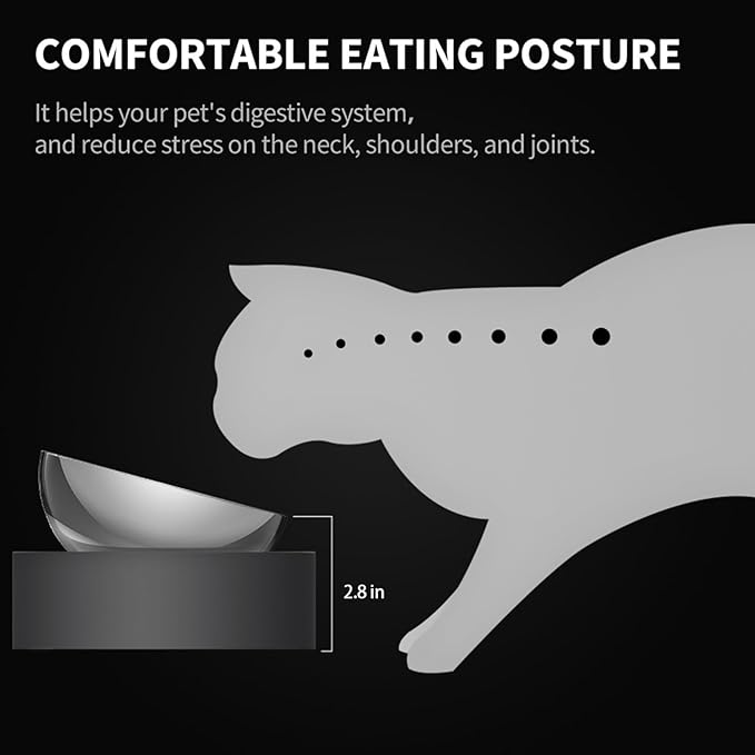 PETKIT 304 Stainless Steel Elevated Cat Bowls